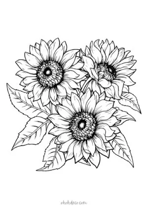 sunflower coloring page