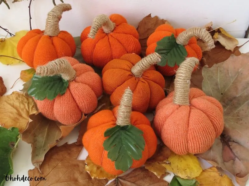 mini pumpkin crafts with lonely socks