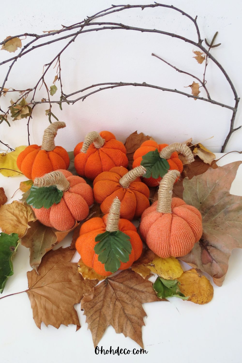 mini pumpkin crafts with lonely socks