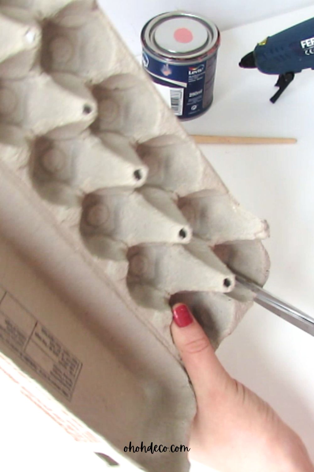cut the egg carton
