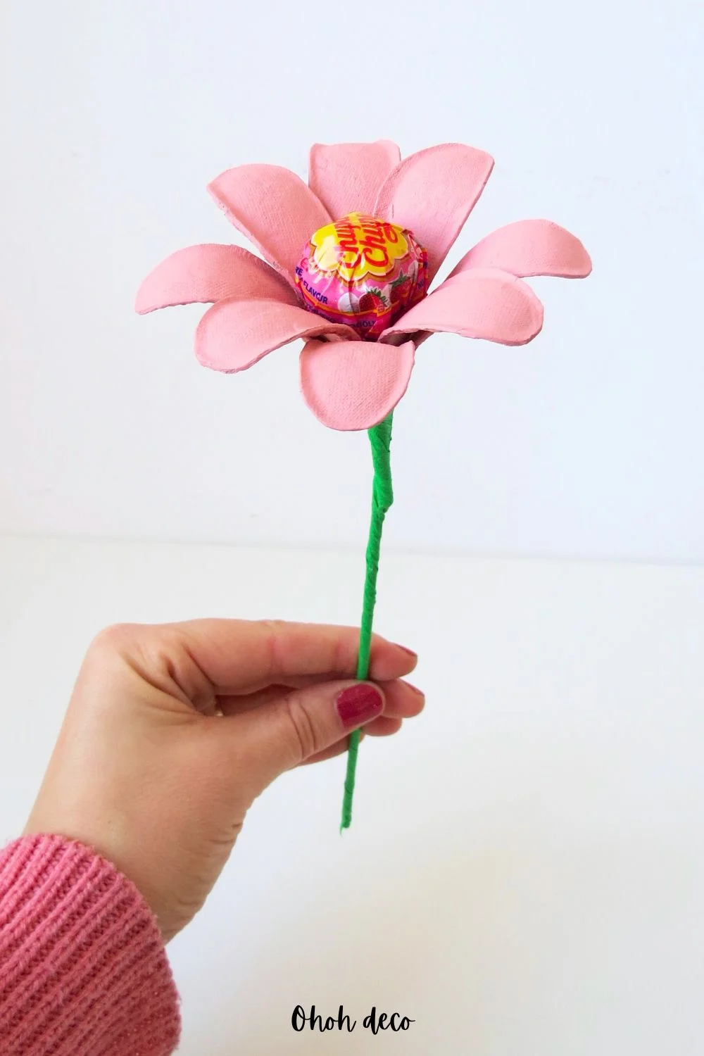 flower lollipop egg carton