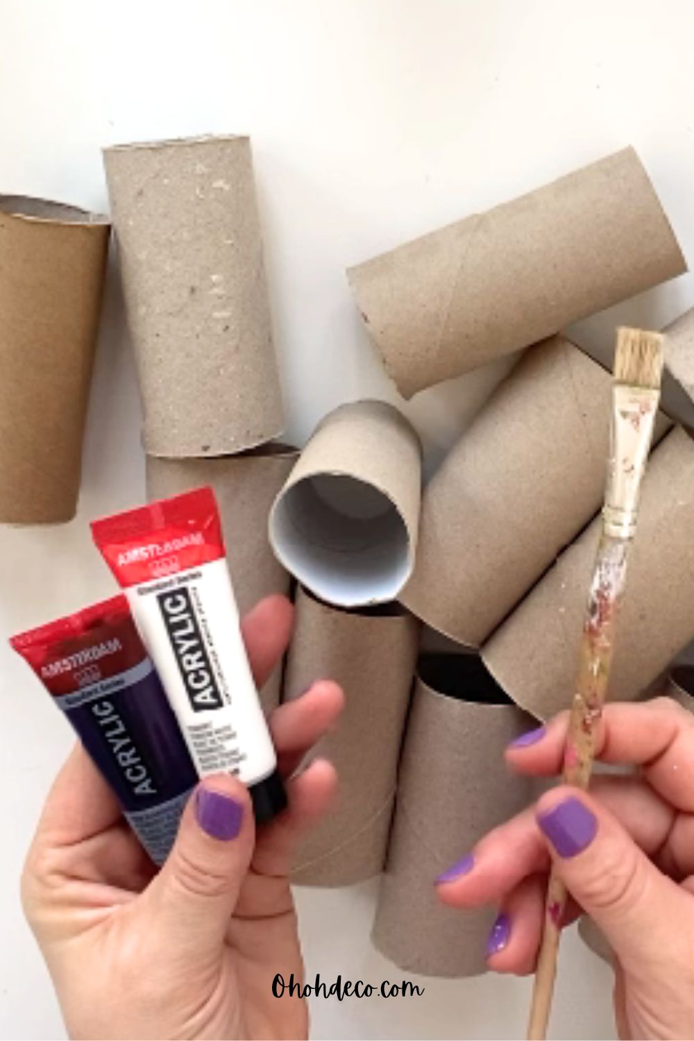 toilet paper rolls craft