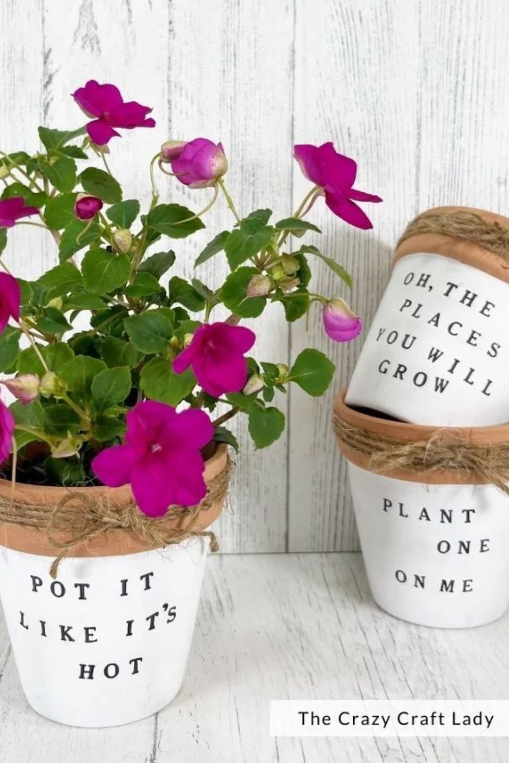 paint clay pot idea
