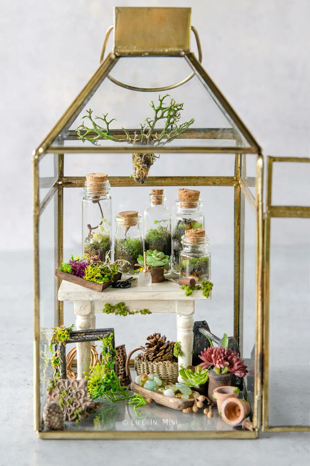 how to make a mini terrarium