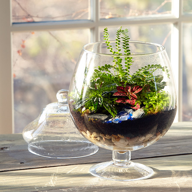 easy to make glass terrarium